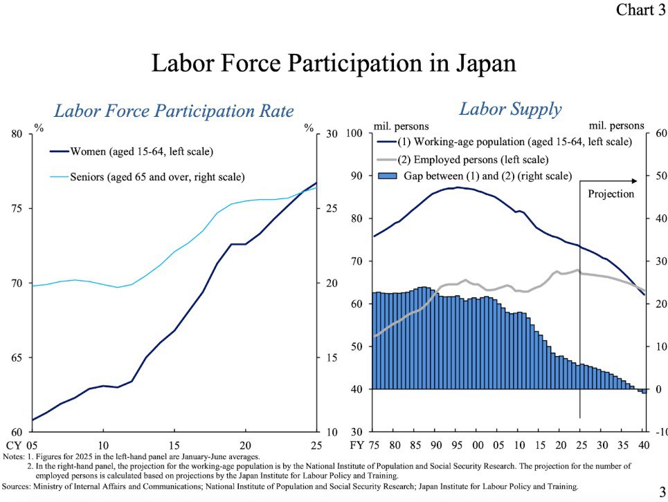 Japanese labour market